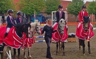 Pony Hol DM 2013
