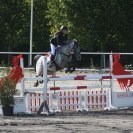 Clara Lier Koppelhus nr. 4 DM kat.11 ponyer.