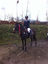 Cecilie Gindler og hendes 2 pony Forest
nr 1 i MB* og MA*