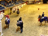 Frederikke Strøm og Zelini på vinder holdet nation spring junior hest.